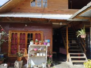 ein kleines Holzhaus mit Topfpflanzen auf einem Regal in der Unterkunft Hospedaje Aurora in Oxapampa