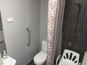 a bathroom with a toilet and a shower curtain at Sunraysia Holiday Park in Mildura