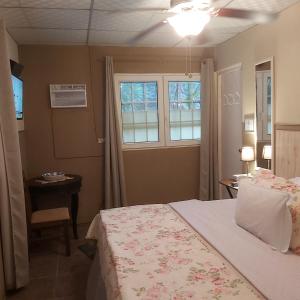 聖卡洛斯的住宿－Sweet Dreams，一间卧室配有一张床、一张桌子和一个窗户。