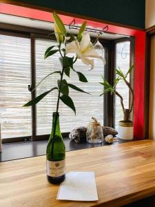 a white flower in a green bottle on a table at 大泉学園ヴィラーアニメーションの起源地にある日本の日常が体験できるまるまる貸切一軒家 in Katayama
