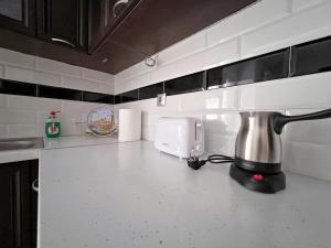 Gallery image of WSD kampani New Comfy and cozy 1BD Apt near Metro in Athens
