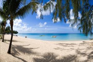 einen Strand mit einer Palme und Booten im Wasser in der Unterkunft Beacon Hill 305 - The Penthouse in Saint Peter