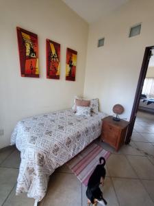 - un chat debout à côté d'un lit dans une chambre dans l'établissement Casa KOCH, à Manzanillo