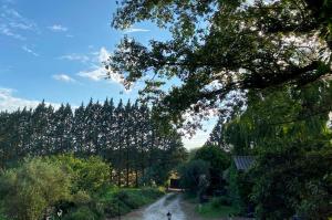 un camino de tierra con árboles y un cielo azul en Cottage Oasi di San Martino, en San Martino in Colle