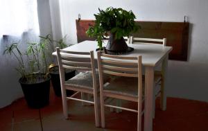 una mesa con dos sillas y una maceta en ella en Cottage Oasi di San Martino, en San Martino in Colle
