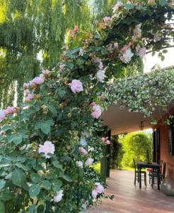 un montón de rosas rosas creciendo en una pérgola en Cottage Oasi di San Martino, en San Martino in Colle