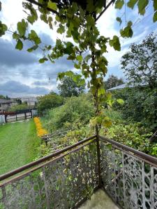 a view from the balcony of the garden at Guest House Sveta in Martvili