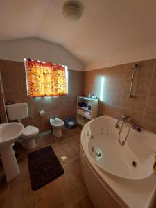 布雷亞札的住宿－Casa Vlazilor，带浴缸、卫生间和盥洗盆的浴室