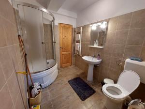 uma casa de banho com um chuveiro, um WC e um lavatório. em Casa Vlazilor em Breaza