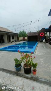 a swimming pool with three potted plants in front of it at MAMA homestay in Bagan Serai