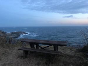 a wooden bench sitting on the side of the ocean at Brightside Apartment in Kristiansand