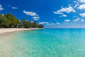 einen Strand mit türkisfarbenem Wasser und Bäumen darauf in der Unterkunft Porters Villa by Blue Sky Luxury in Saint James