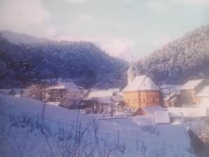 un pueblo cubierto de nieve con una iglesia en Pensiunea Casa Roman, en Tălmăcel