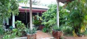 uma casa com plantas em frente em the walawwa guest house and hostel em Sigiriya