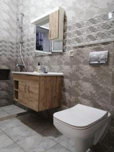 ein Badezimmer mit einem WC, einem Waschbecken und einem Spiegel in der Unterkunft JasminVilla in Sousse