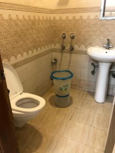 a bathroom with a toilet and a sink at Hotel Robin Inn in Amritsar