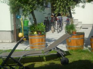 Jazda na bicykli v okolí ubytovania Gartenpension Prosl