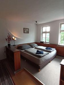 1 dormitorio con 1 cama grande en una habitación en Ferienwohnungen am Jenaer Markt, Mitten im Zentrum, für bis zu 5 und 6 Personen en Jena