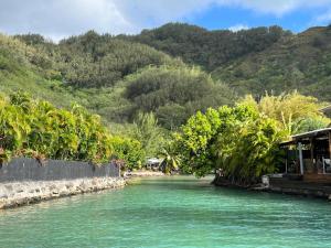 een rivier met turquoise water en bomen op een berg bij Moorea Pool & Lagoon House in Moorea