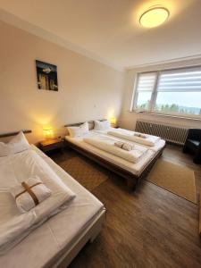 two beds in a large room with a window at Winterberg Appartement 21123 in Winterberg