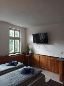 a bedroom with two beds and a flat screen tv on the wall at Ferienwohnungen am Jenaer Markt, Mitten im Zentrum, für bis zu 5 und 6 Personen in Jena