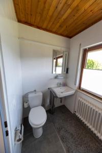 een badkamer met een toilet en een wastafel bij Ferienwohnung Schott in Kippenheim