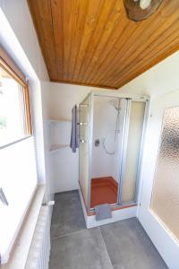 een douche met een glazen deur in de badkamer bij Ferienwohnung Schott in Kippenheim