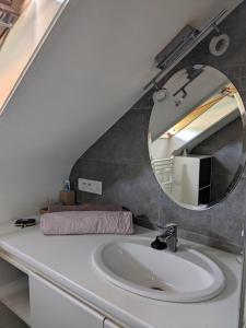 La salle de bains est pourvue d'un lavabo et d'un miroir. dans l'établissement Villa Elena, à Camphin-en-Pévèle