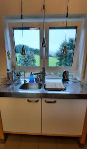 eine Küche mit einem Waschbecken und zwei Fenstern in der Unterkunft Panorama-Suite Birkenbeul in Birkenbeul