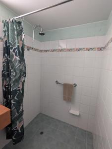 La salle de bains est pourvue d'une douche avec rideau de douche. dans l'établissement Gloucester Motel Pemberton Manjimup, à Pemberton