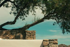 a tree over a stone wall with a tree overhead at The Wild by Interni in Kalafatis