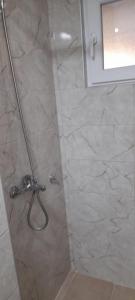 a bathroom with a shower with a glass door at Aura natura in Visoko
