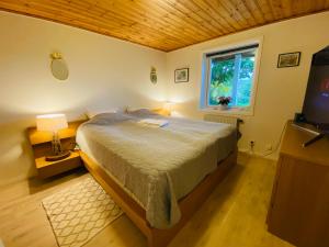 1 dormitorio con 1 cama, TV y ventana en Brunns Lake House en Ulricehamn