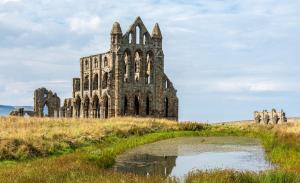 an old castle in a field with a pond at Smugglers Rock Cottages in Ravenscar