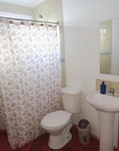een badkamer met een toilet en een wastafel bij Cabañas amobladas en salto del laja a 2 minutos del puente salto del laja in El Manzano