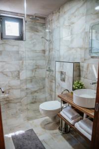 a bathroom with a sink and a toilet and a shower at Vila K2 in Vrdnik