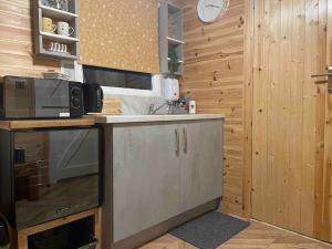 uma cozinha com um lavatório e um micro-ondas em Runaway Northumberland em Morpeth