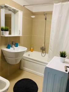 een badkamer met een wastafel, een toilet en een douche bij FourSeasonsApartments in Braşov