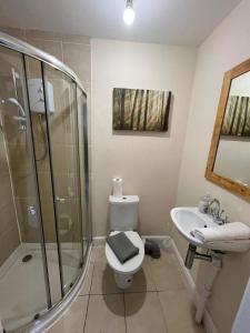 uma casa de banho com um chuveiro, um WC e um lavatório. em Alexander Apartments South Shields 2 em South Shields
