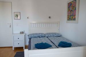a bedroom with a bed with blue pillows on it at Haus am Seerhein in Konstanz +20 photos