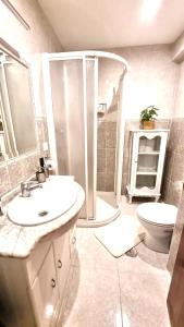 a bathroom with a sink and a shower and a toilet at Sofia´s Canto del Mar in Candás
