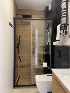 ein Bad mit einer Dusche, einem WC und einem Waschbecken in der Unterkunft URBAN APARTMENTS Premium DOWNTOWN Opolska 10 No 77A with GARAGE in Kattowitz
