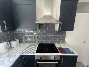 a kitchen with blue cabinets and a stove top oven at The E17 Suite in London