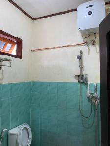 a bathroom with a shower and a toilet at Mawar Bed and Breakfast in Bajawa