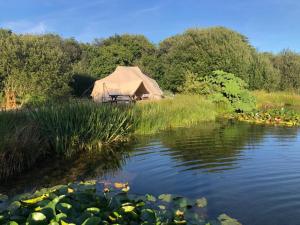 a yurt with a table and chairs next to a pond at Rose in St Austell