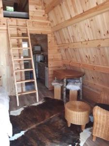 eine Hütte mit einer Leiter und ein Zimmer mit einem Kamin in der Unterkunft Gîte et Chambres d'hôtes du Domaine du Val Bruant in Arc-en-Barrois