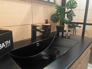 a black sink in a bathroom with a plant at Anna Maria -Guesthouse in Vathi