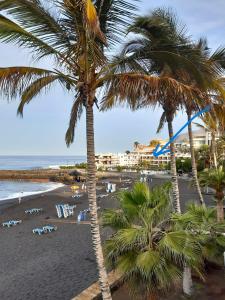 deux palmiers sur une plage près de l'océan dans l'établissement PaulMarie Apartment Playa La Arena, à Puerto de Santiago