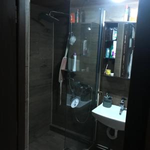 een badkamer met een douche en een wastafel bij Cabana Trei Brazi Dambovita in Bezdead