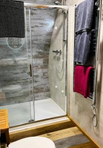 a shower with a glass door in a bathroom at Honeybee Home in Llansantffraid-ym-Mechain